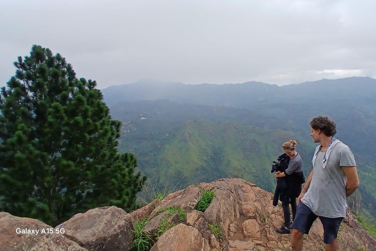 ELLA Lipton Seat Tea Test & Pluck 9Arch, Waterfalls, & Food Lipton's Seat, Little Adam Peak, 9 Arch, Ravana Waterfalls