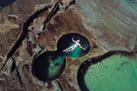 Sydney: Jednodniowa wycieczka do basenów Figure Eight Pools z wędrówką wzdłuż wybrzeża