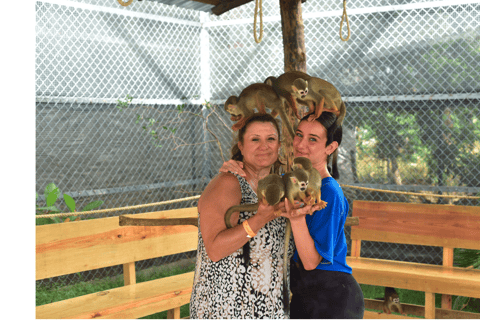 Puerto Plata: Monkey Home Sanctuary Tour with Pickup