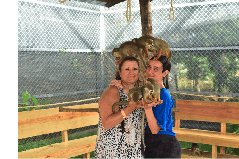 Puerto Plata: Monkey Home Sanctuary Tour with Pickup