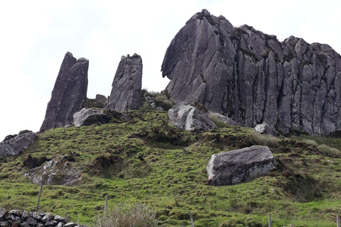 Flower Island: Van Tour