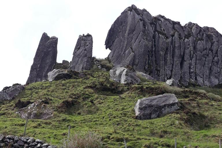 Flower Island: Van Tour