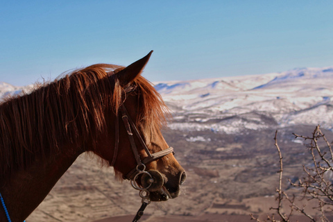 Phoenix: Cowboy Horseback Ride Experience