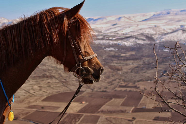 Phoenix: Cowboy Horseback Ride Experience