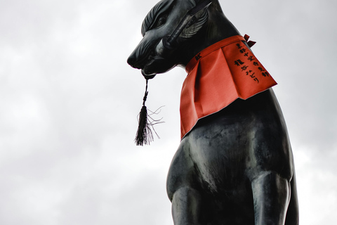 Kyoto/Osaka: Kyoto&Nara Private Customized Guided Tour