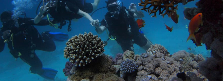 Alicante: Discover Scuba Diving Experience