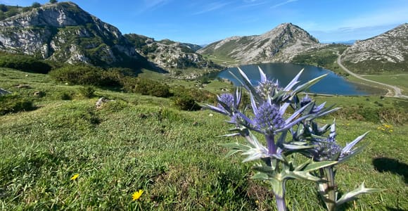 From San Sebastián: 10-Day Private Tour of Northern Spain