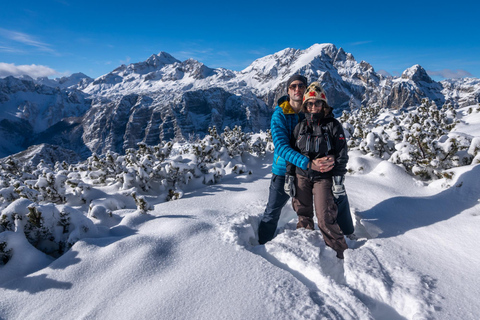 From Ljubljana/Bled: Beginner Snowshoe in Julian Alps From Bled - pickup at your accommodation