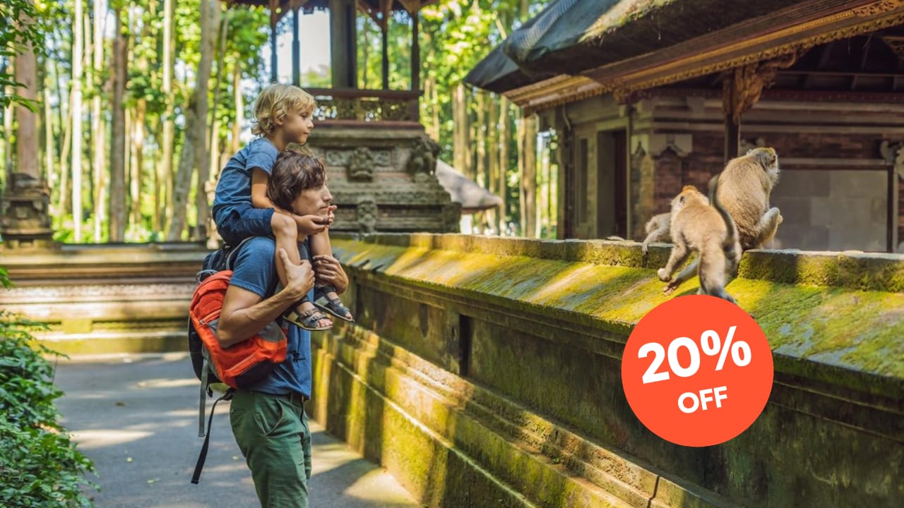 Ubud: All-Inclusive Tour with Optional Lunch