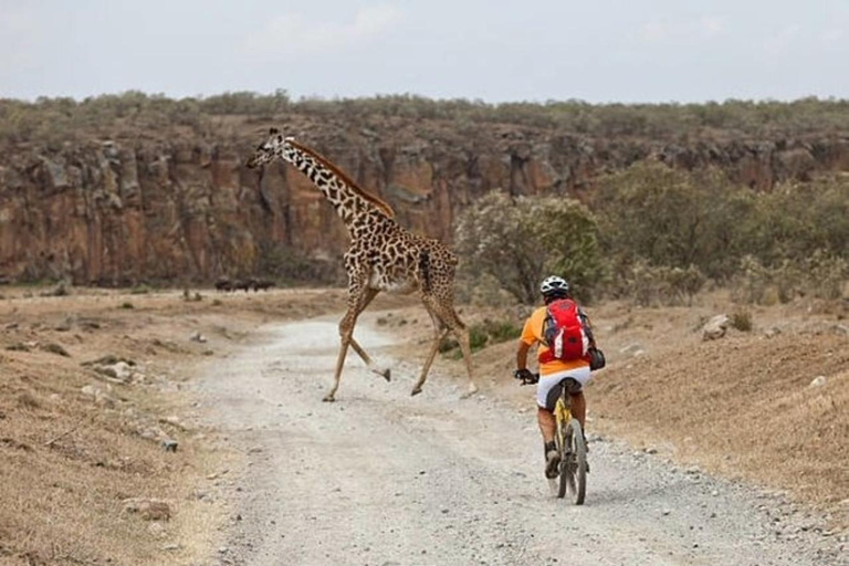 Hell's Gate National Park and Lake Naivasha Day Tour