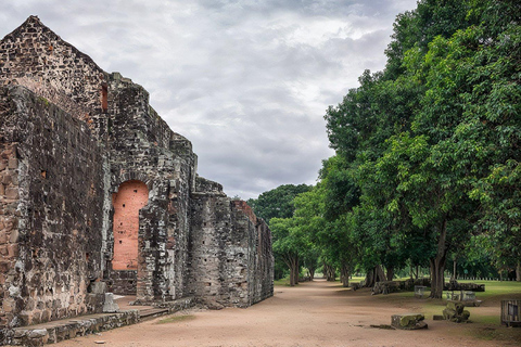 Panama City: Tour a piedi dei Pirati di Panama City