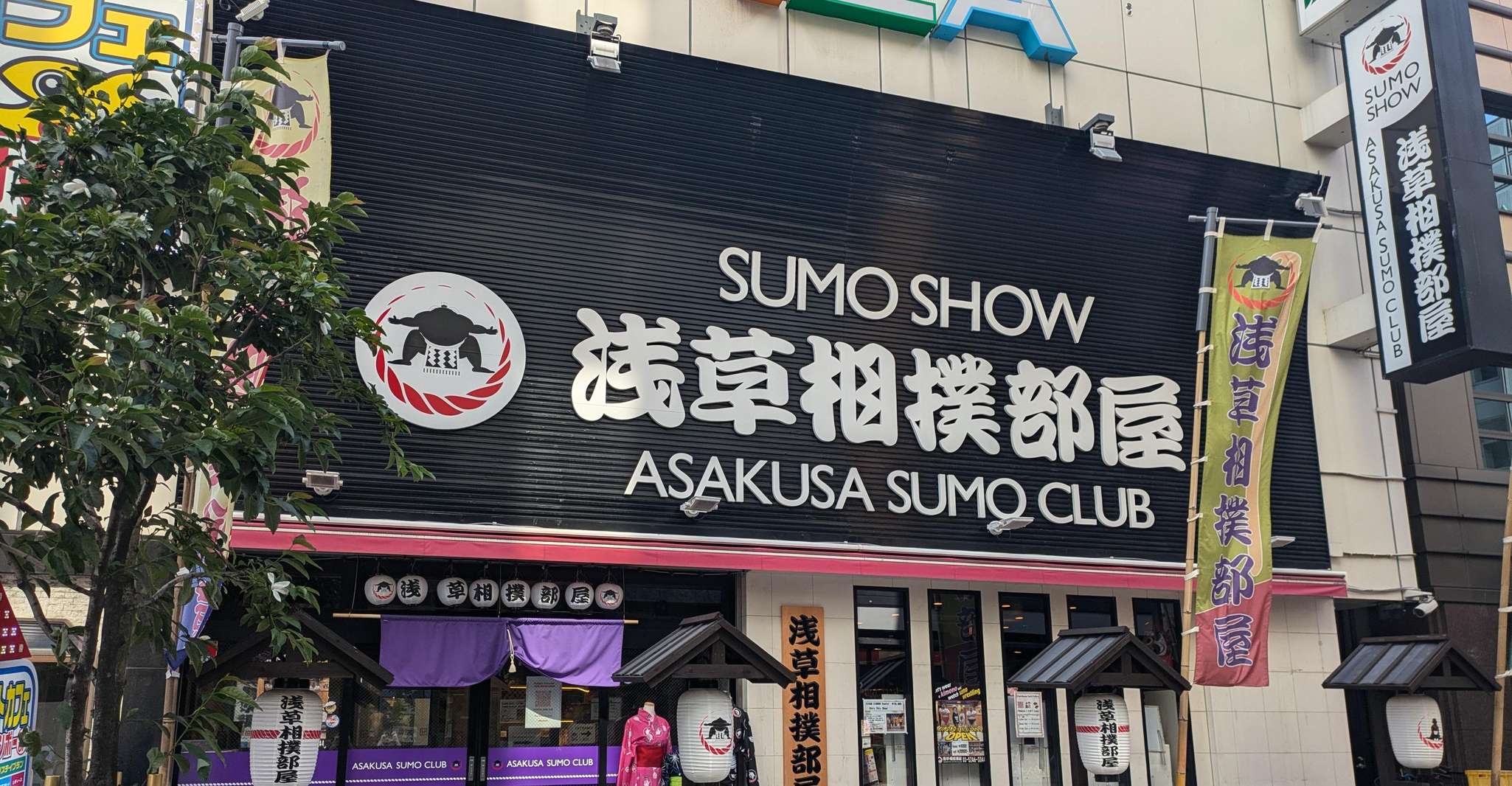 Tokyo: Sumo Show Experience with Chicken Hot Pot and a Photo photo 4