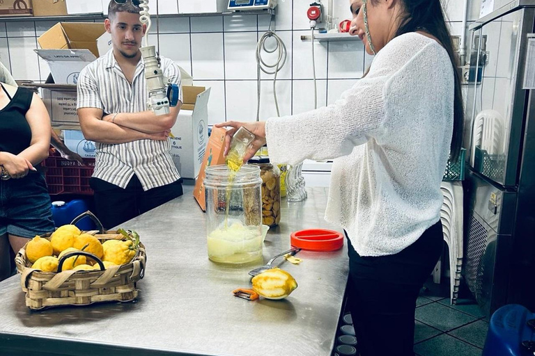Sorrento: Visita a la Fábrica de Limoncello y Degustación
