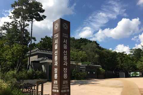 Seoul: Gangnam Time Travel, Royal Tombs to Starfield Library Chinese Guide