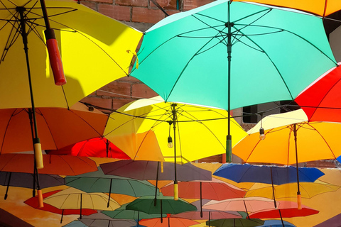 Tour de Guatape : Piedra, El peñol, Alto del chocho