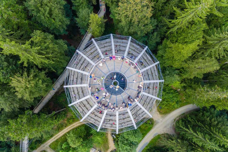 Bavarian Forest: Treetop Walk & Egg Tower Experience