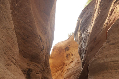 Agadir: Sinec Canyon Guided Tour with Sandboarding