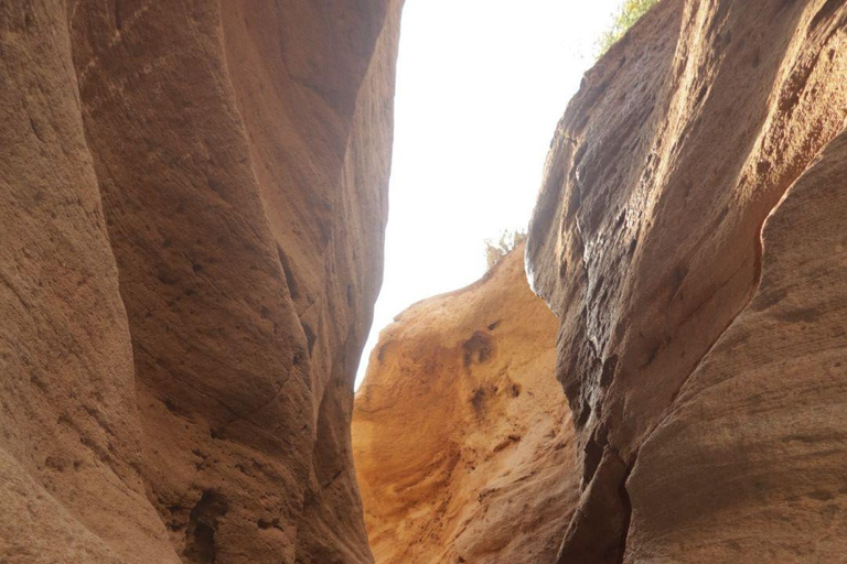 Agadir: Sinec Canyon Guided Tour with Sandboarding
