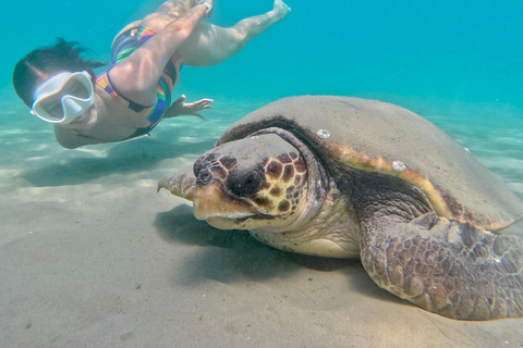 Zakynthos: SUP Tour – Turtle Spotting Adventure