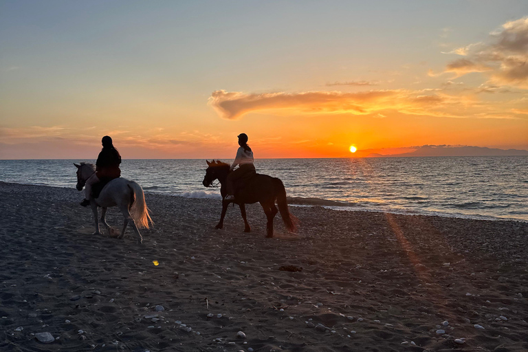 Rhodes : Randonnée à cheval avec photos numériquesRandonnée équestre matinale à la campagne