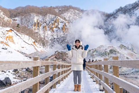 With Lunch│Mt. Usu, Noboribetsu, Lake Shikotsu Day Trip