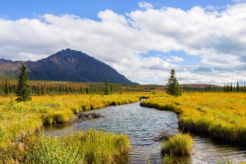 Wild Alaska: Denali Highway Scenic Journey from Fairbanks