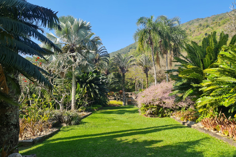 Rio de Janeiro: Sítio Roberto Burle Marx: tour guiado