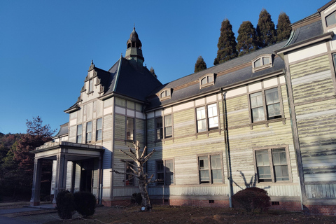 Aichi: Meiji Village & Japan’s Modernization Journey 5h Immersive option