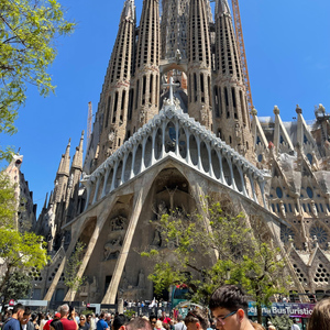 Guided Tour of Sagrada Familia - Gaudi's dream