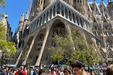 Guided Tour of Sagrada Familia - Gaudi's dream