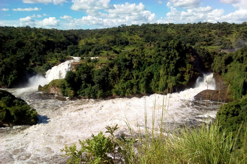 UGANDA: 7-daagse Murchison watervallen, koningin Elizabeth en Ziwa