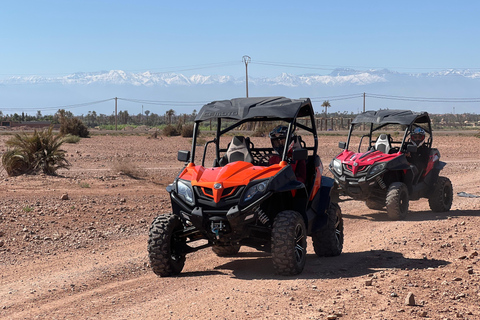 Marrakech Buggy Palmerie e Deserto