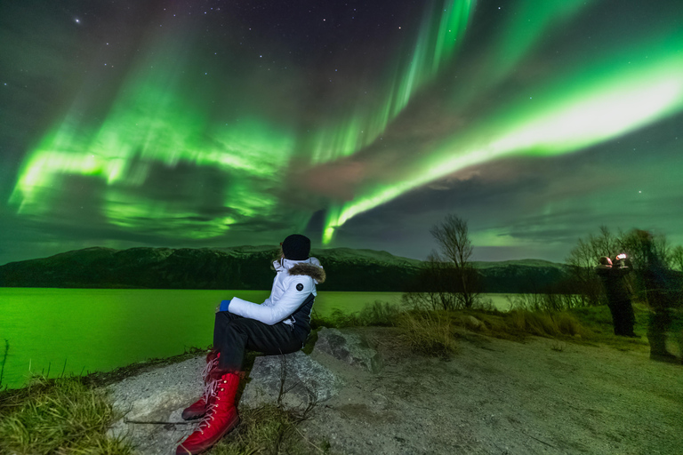 Tromsø: Northern Lights Tour (Max 8) Pickup + Finland