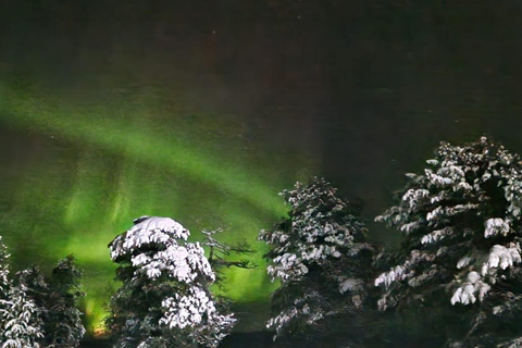 Levi: Northern Lights by Snowshoe Hike with Latvian Guide Northern Lights Snowshoe Hike in Levi with Latvian Guide