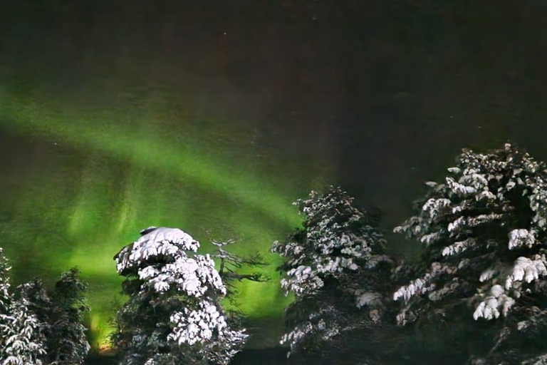 Levi: Northern Lights by Snowshoe Hike with Latvian Guide Northern Lights Snowshoe Hike in Levi with Latvian Guide