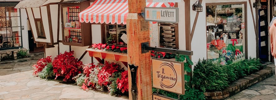 Dégustation de vins et visite à pied de Carmel-by-the-Sea