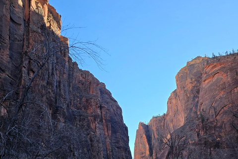 Las Vegas: Zion National Park Group Tour with Lunch