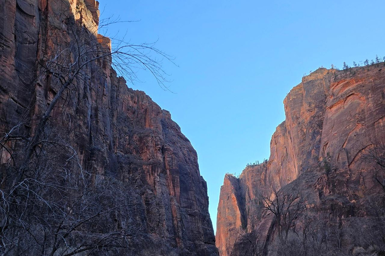 Las Vegas: Zion National Park Group Tour with Lunch