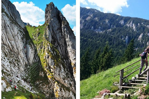 Brașov: Carpathian Mountains Guided Hike with Pickup