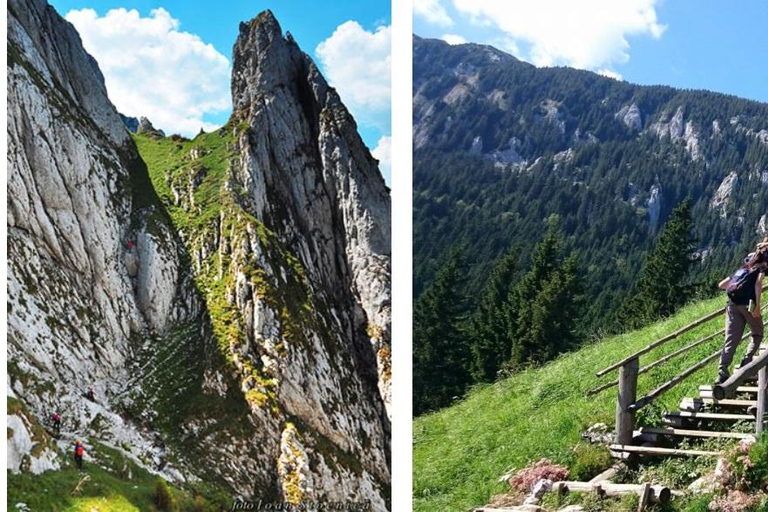 Brașov: Carpathian Mountains Guided Hike with Pickup