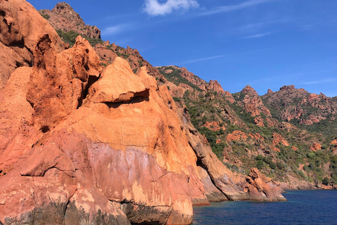 De Sagone/Cargèse: Passeio de barco por Scandola, Piana e Girolata