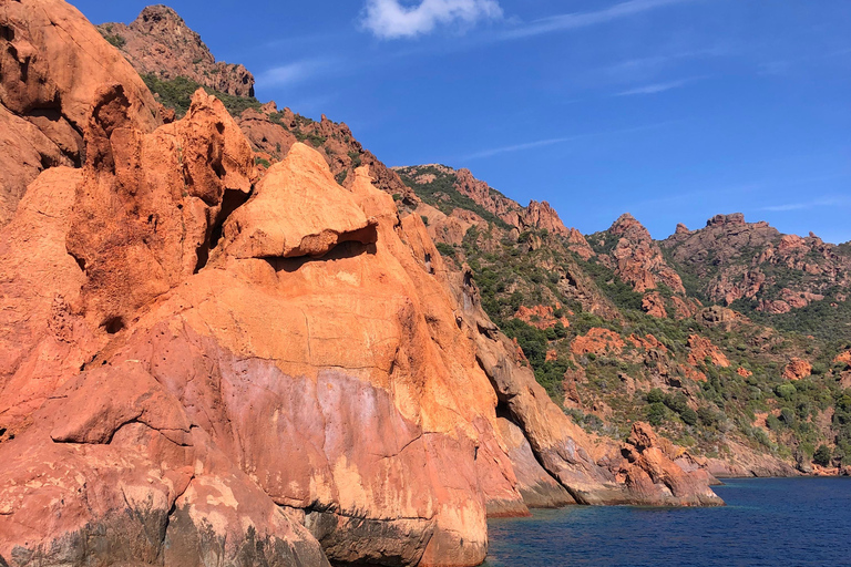 Da Sagone/Cargèse: Tour in barca di Scandola, Piana e Girolata