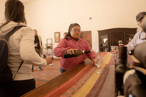Cafayate: Tour de dia completo por bodegas y degustacion de vinos