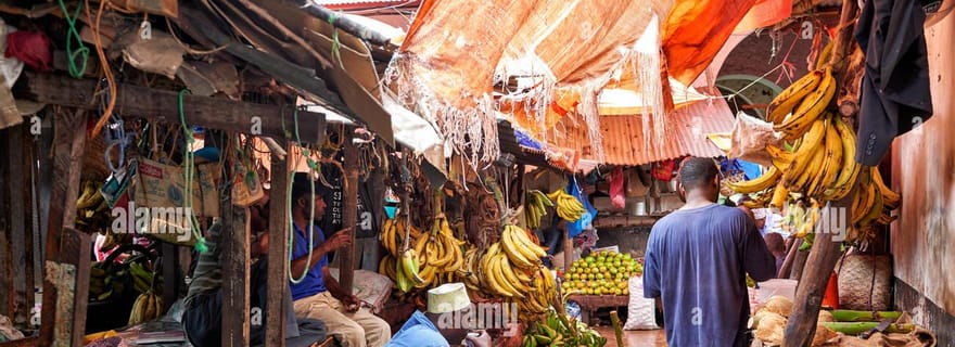 Zanzibar : visite à pied de Stone Town