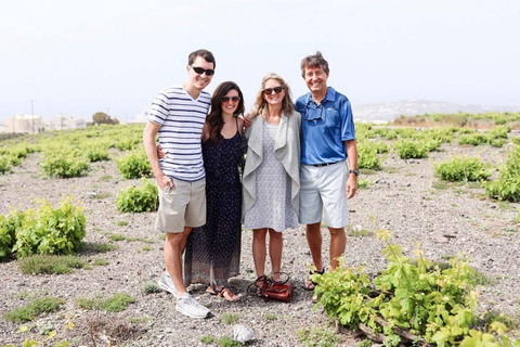 Santorini: 5-stündige private Weintour