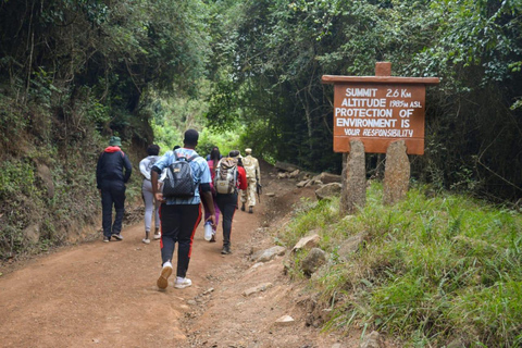 Nairobi: Fourteen Falls & Mt. Kilimambogo Fitness Hike