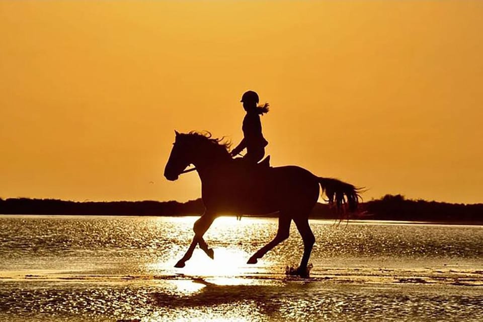 Silhouette of a rider on a galloping horse in shallow water at sunset