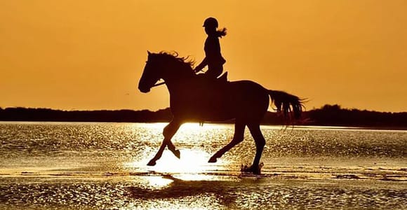 Silhouette of a rider on a galloping horse in shallow water at sunset