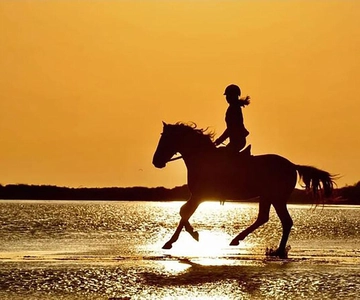 Manavgat Side: Horse Riding on the Beach and in the Forest