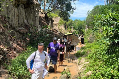 Da Ho Chi Minh: Tour di Mui Ne di 1 giorno